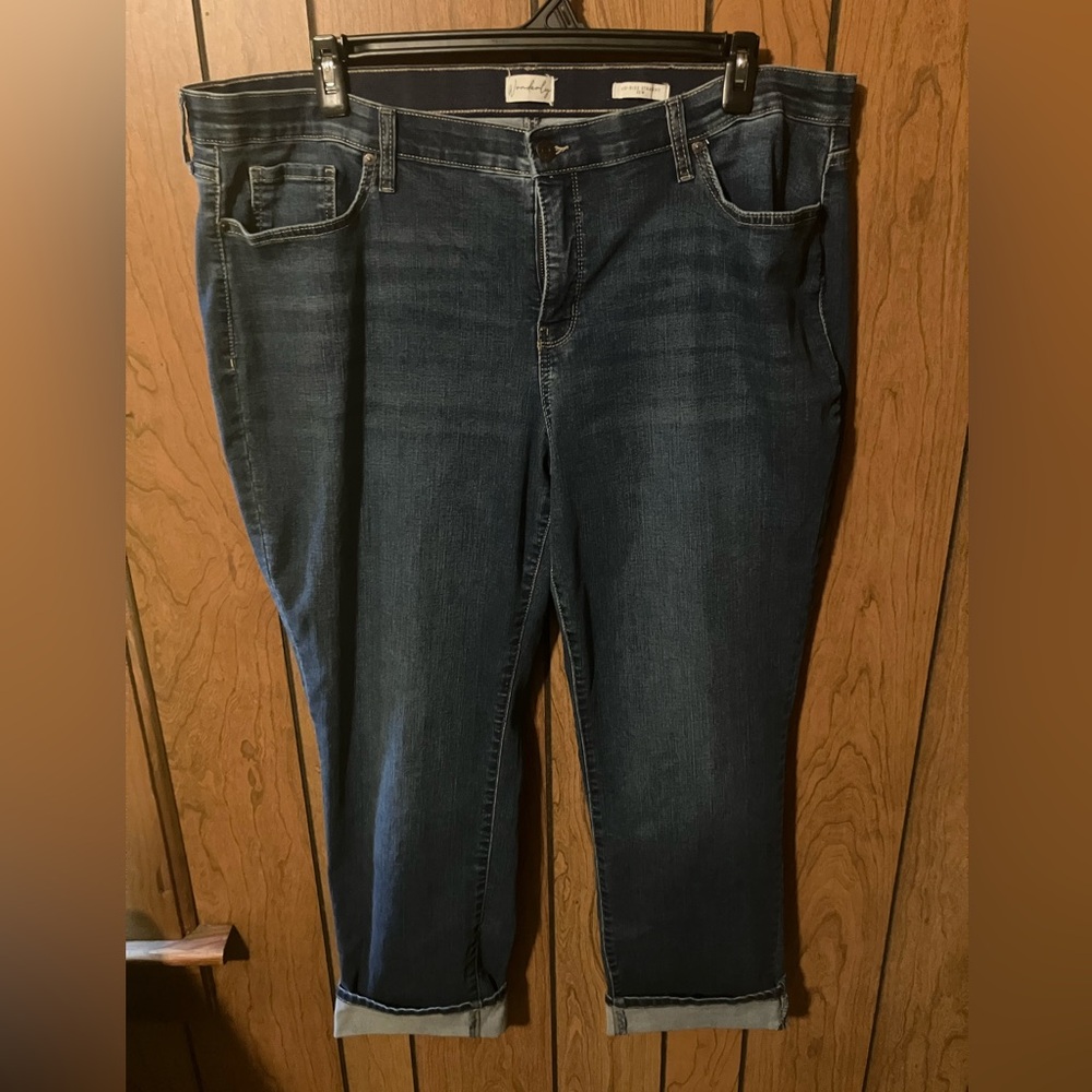 Wonderly midrise Straight elastic waist jeans 20W